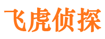 延长侦探公司